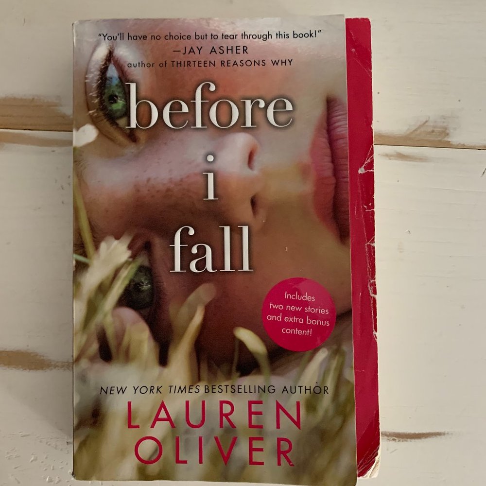 Before I Fall - book